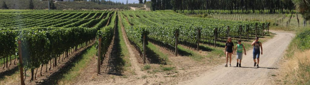 Okanagan Valley