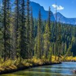Jasper-national-park-west-canada-campers-canada