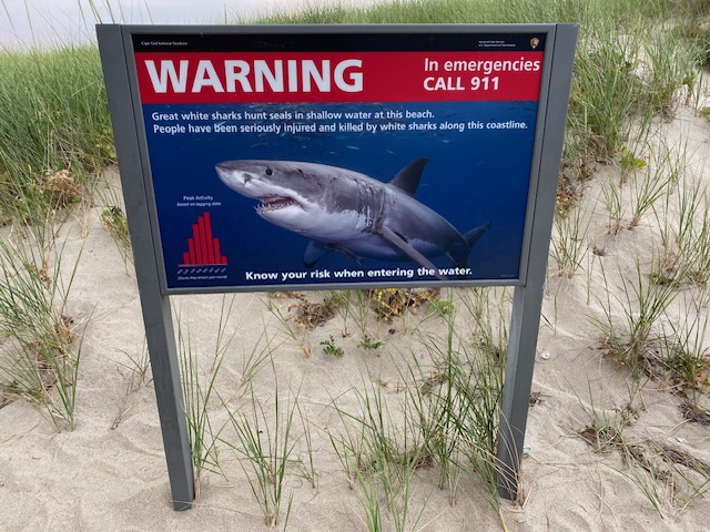 Cape Cod haaien | Campers Canada