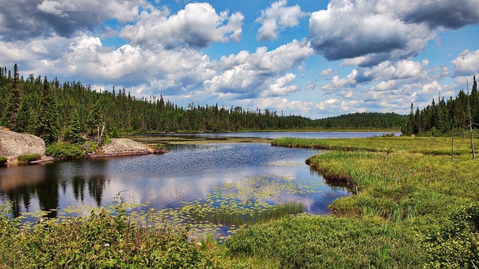 Algonquin National Park | Campers Canada